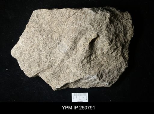 lithologic sample