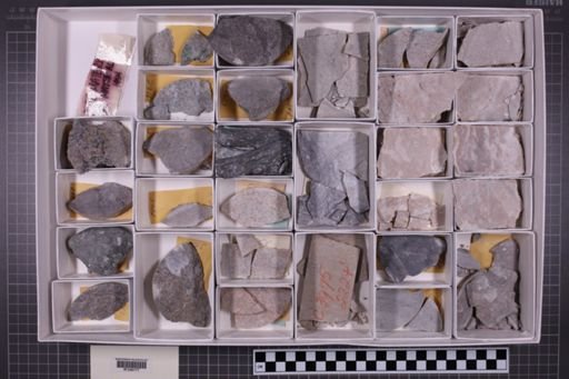 mixed taxa, stratigraphic collection