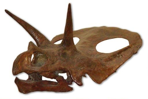 Torosaurus gladius