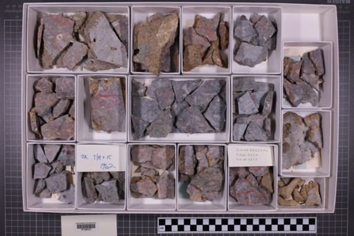 mixed taxa, stratigraphic collection