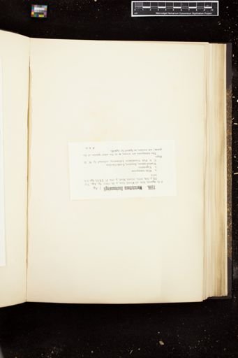 Meristotheca duchassaingii