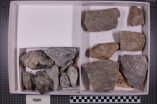 mixed taxa, stratigraphic collection