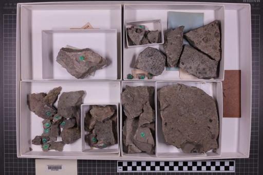 mixed taxa, stratigraphic collection