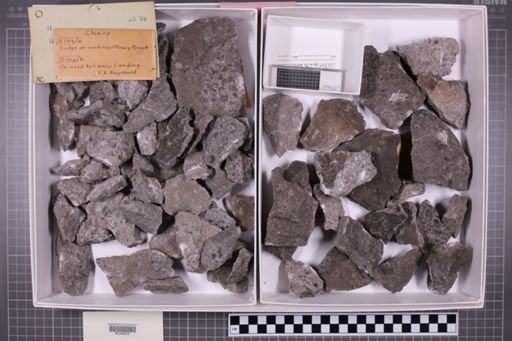 mixed taxa, stratigraphic collection