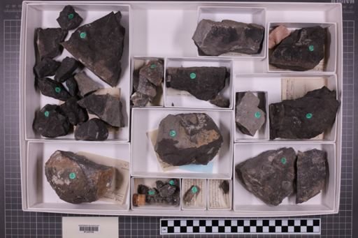 mixed taxa, stratigraphic collection