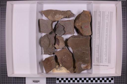 mixed taxa, stratigraphic collection