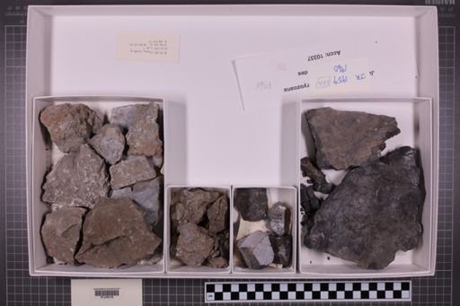 mixed taxa, stratigraphic collection