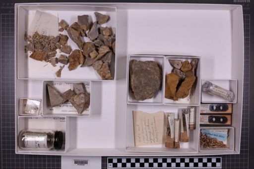 mixed taxa, stratigraphic collection