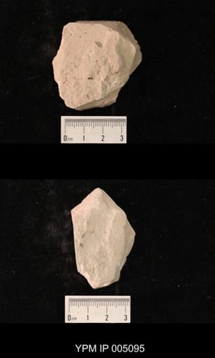 Psocidium