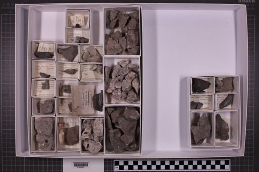 mixed taxa, stratigraphic collection