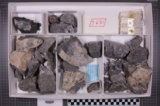 mixed taxa, stratigraphic collection