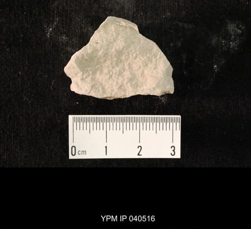 undet. Hexapoda