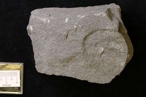 cf. Daedalus archimedes