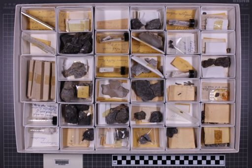 mixed taxa, stratigraphic collection
