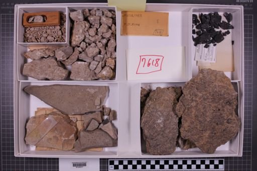mixed taxa, stratigraphic collection