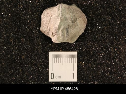 Platystrophia biforata