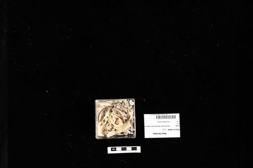 Naso lituratus