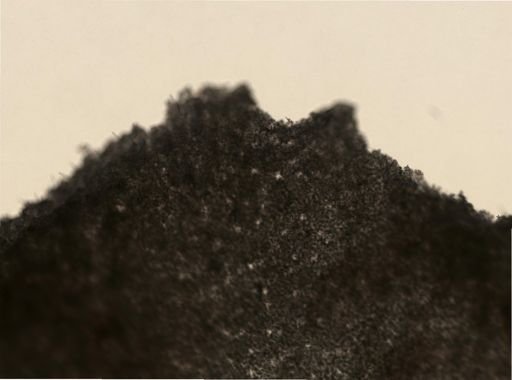 cf. Spirastrella