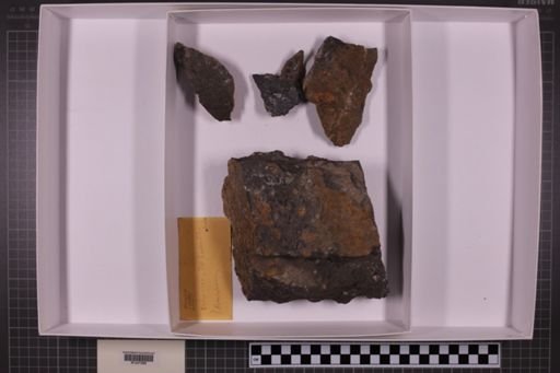 mixed taxa, stratigraphic collection