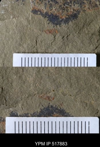 Problematica