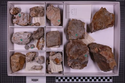 mixed taxa, stratigraphic collection
