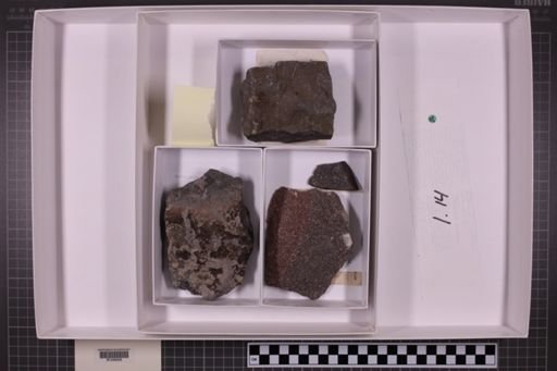 mixed taxa, stratigraphic collection