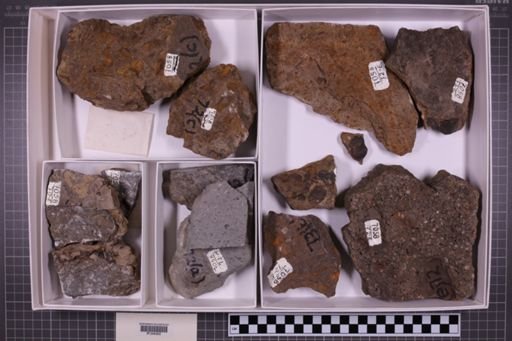 mixed taxa, stratigraphic collection