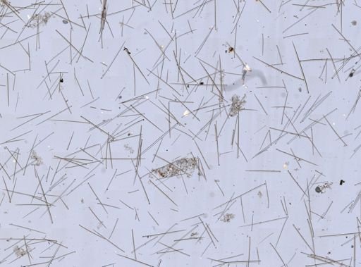 Ophlitaspongiidae