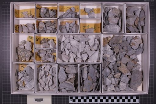 mixed taxa, stratigraphic collection