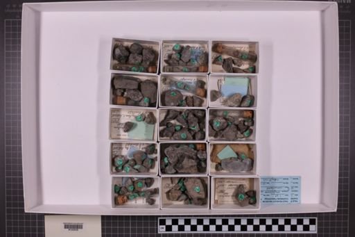 mixed taxa, stratigraphic collection