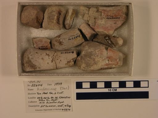 Hadrosauridae