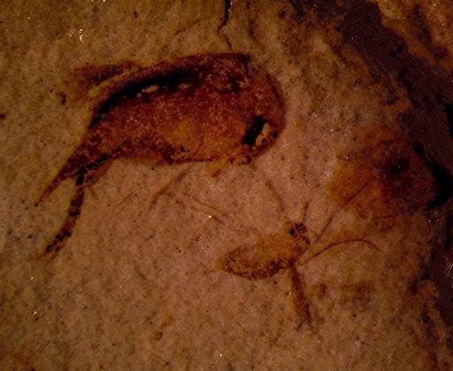undet. Mordellidae