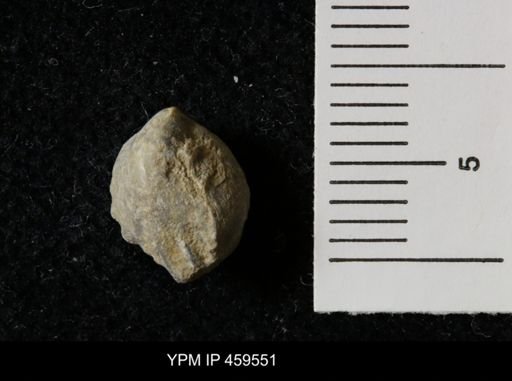 Wellerella