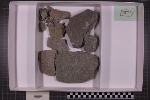 mixed taxa, stratigraphic collection