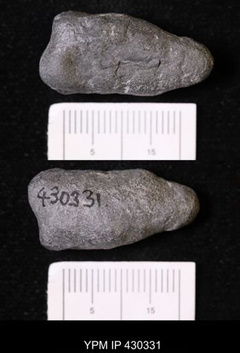 undet. Bryozoa