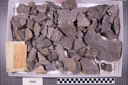 mixed taxa, stratigraphic collection