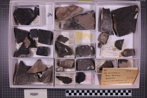 mixed taxa, stratigraphic collection