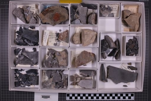 mixed taxa, stratigraphic collection