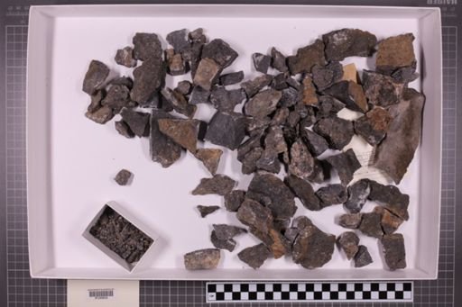 mixed taxa, stratigraphic collection