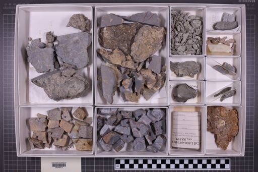 mixed taxa, stratigraphic collection