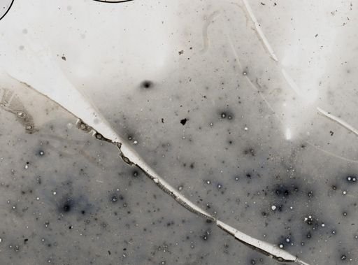 Ichthyosporidium