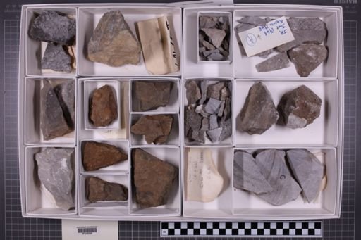 mixed taxa, stratigraphic collection