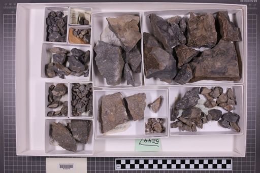 mixed taxa, stratigraphic collection