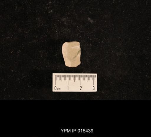 undet. Hexapoda