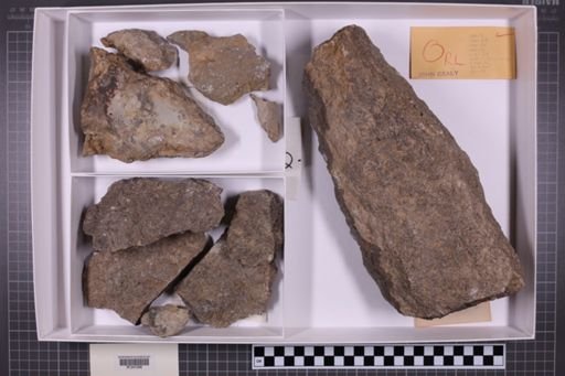 mixed taxa, stratigraphic collection