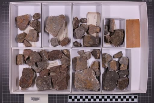 mixed taxa, stratigraphic collection