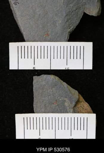 Problematica