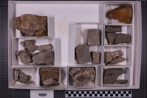 mixed taxa, stratigraphic collection