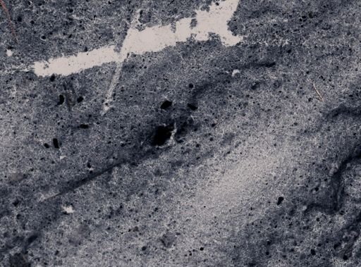Endolimax nana