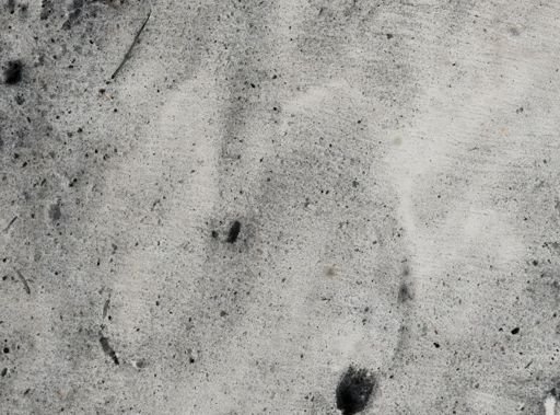 Entamoeba histolytica